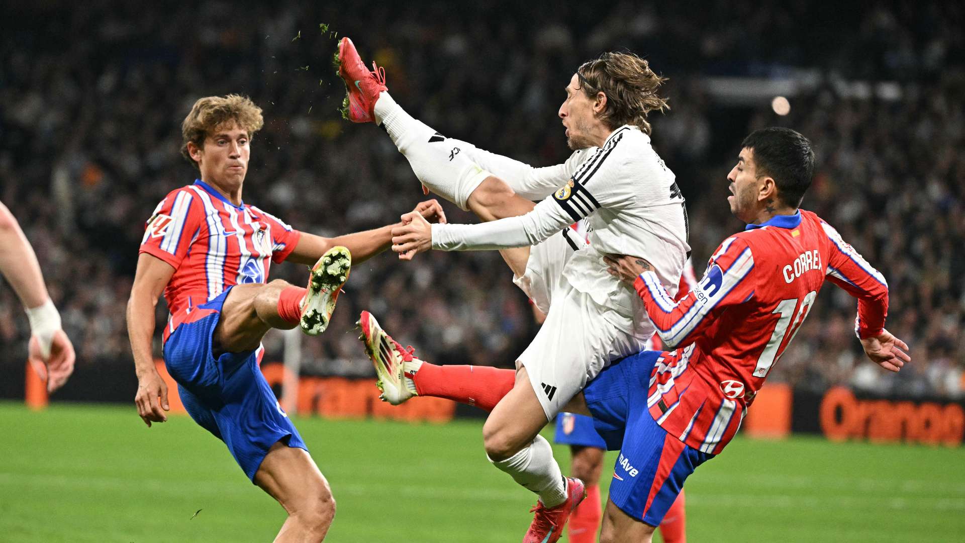 國的預選晉 國的預選晉